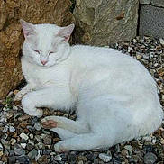 Pirouette a rejoint le concours — aidez-le/la à gagner de superbes lots !