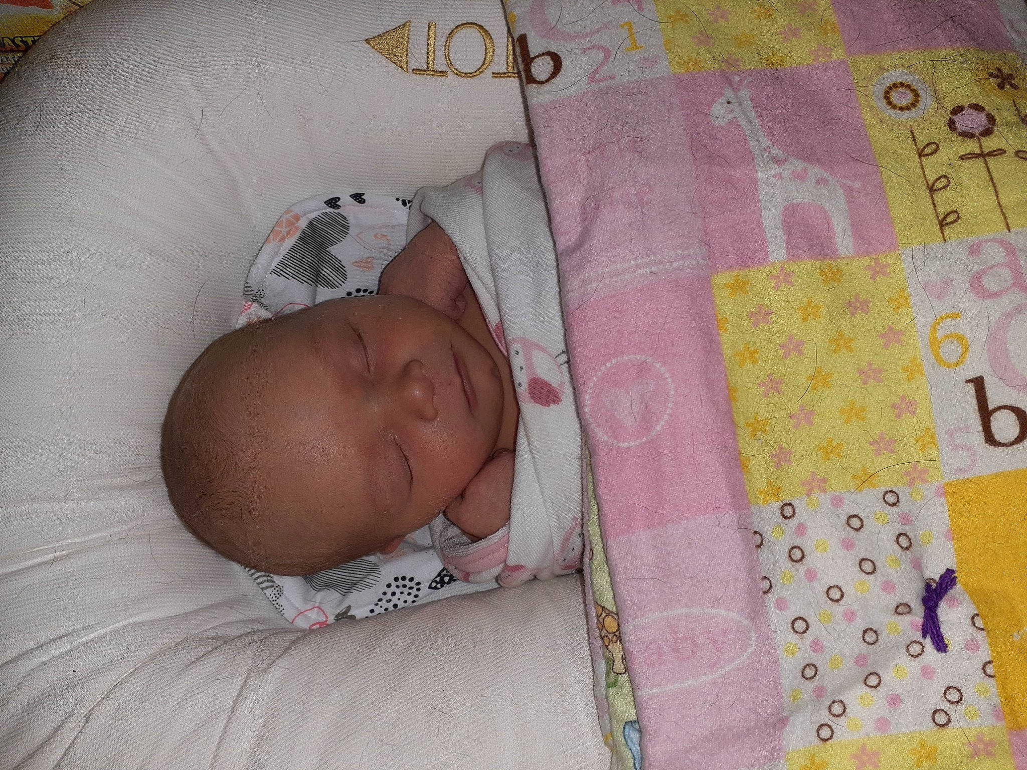 Makenna joined the competition — help win amazing prizes! baby, baby_products, baby_sleeping, baby_toddler_clothing, bed, bedding, bedtime, child, comfort, craft, creative_arts, infant_bed, linens, magenta, pattern, person, product, room, skin, textile