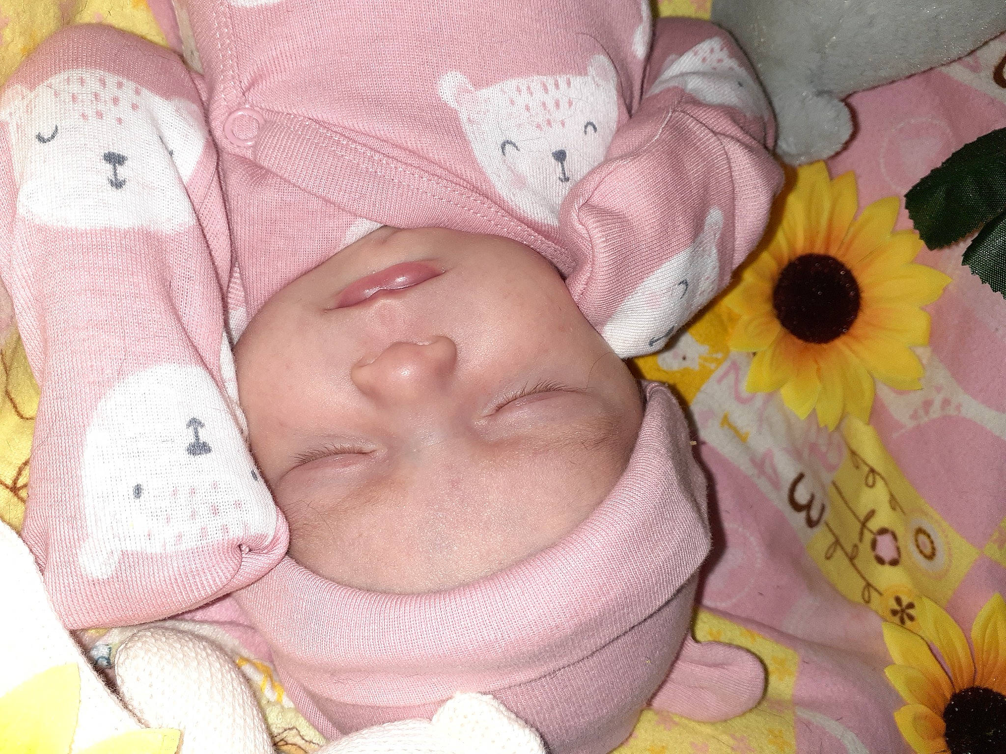 Makenna is registered to the contest to win money with this photo: art, baby_sleeping, baby_toddler_clothing, bedding, bedtime, cheek, child, comfort, happy, hat, headwear, linens, mammal, pattern, person, petal, pink, skin, stuffed_toy, textile