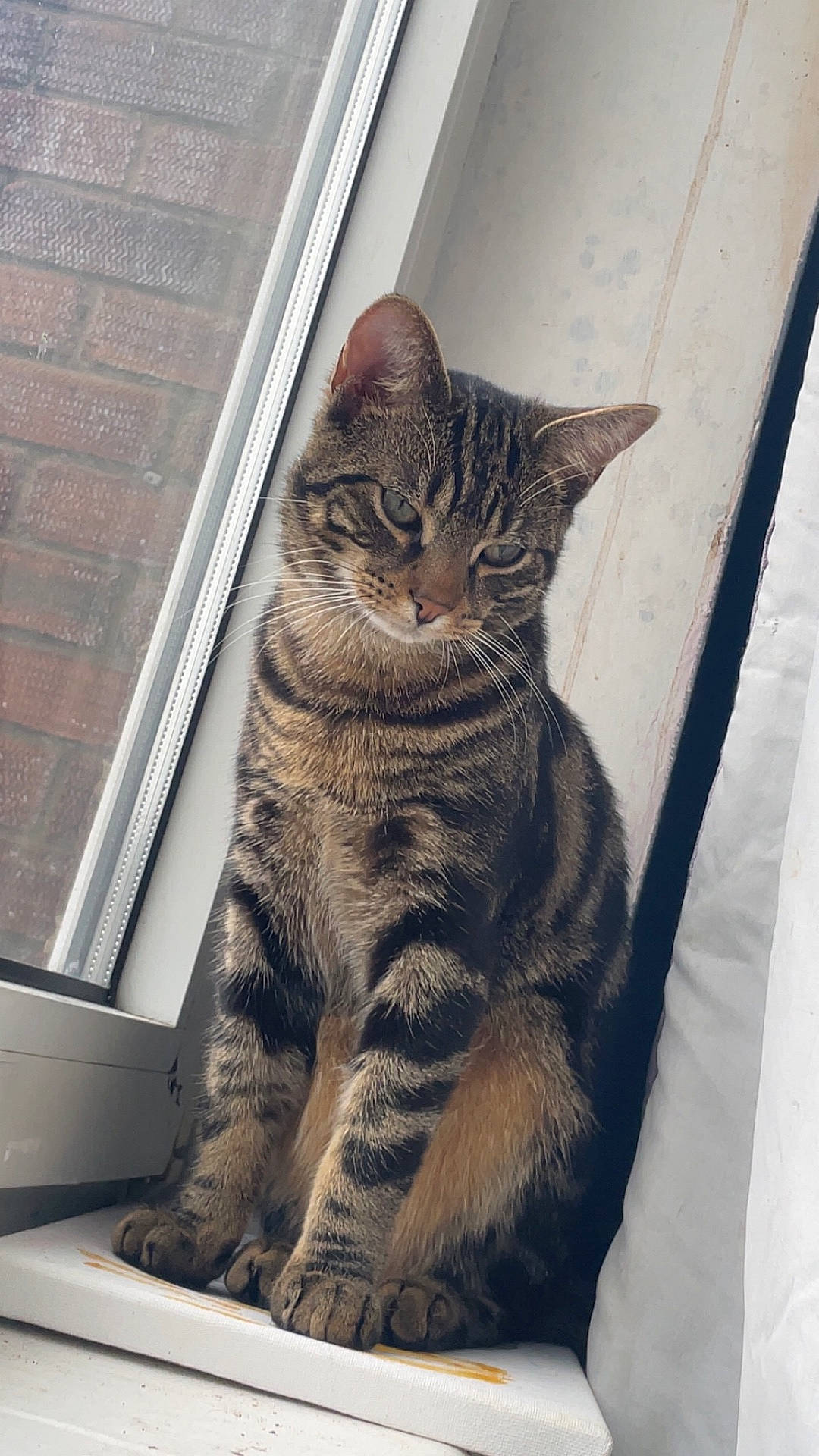 Tigger