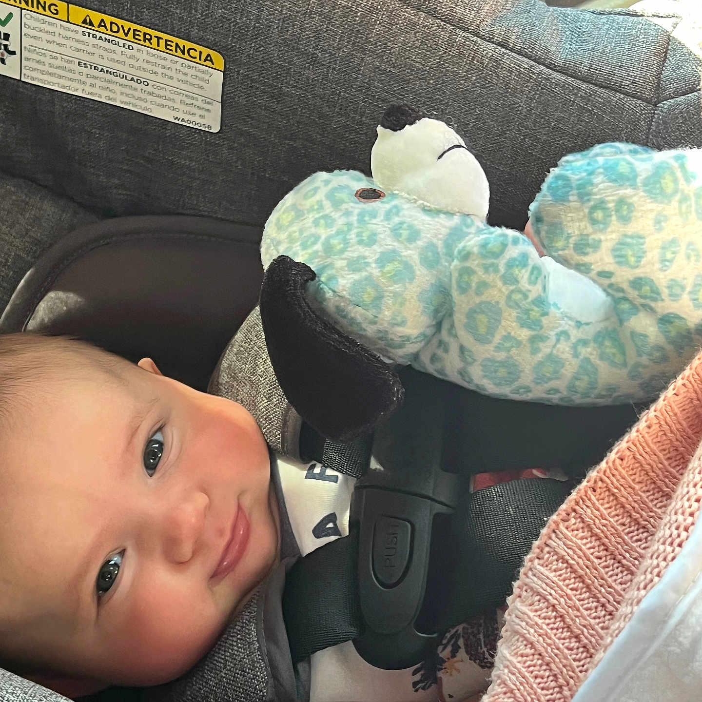 Brennan is registered to the contest to win money with this photo: baby, car, car_interior, carseat, clothing, couch, cushion, face, furniture, hat, head, homedecor, person, photography, pillow, plush, portrait, toy, transportation, vehicle
