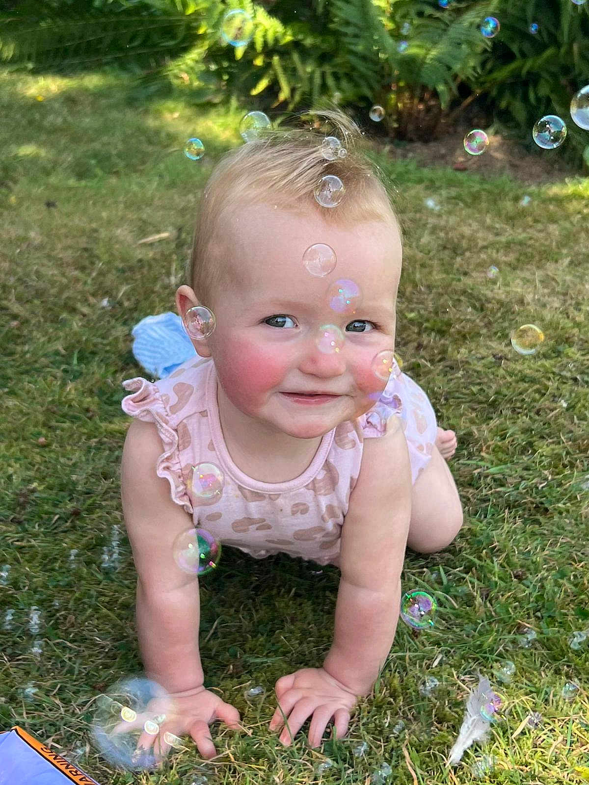 Bree joined the competition — help win amazing prizes! baby, child, grass, bubbles, outdoor, smiling, crawling, sunlight, face, skin, cheeks, curly_hair, nature, play, happy, person, infant, greenery, summer, daylight