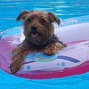 Tequila participe au concours pour gagner de l'argent avec cette photo :