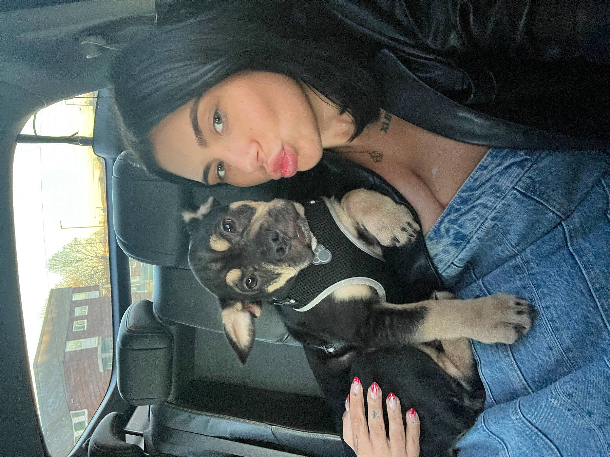 Rex joined the competition — help win amazing prizes! auto_part, automotive_design, automotive_exterior, automotive_lighting, automotive_wheel_system, black_hair, car, car_seat, car_seat_cover, carnivore, family_car, fur, human_leg, long_hair, luxury_vehicle, motor_vehicle, personal_luxury_car, vehicle, vehicle_door, window