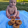 baby, child, donut, food, outdoor, grass, blanket, plate, dog, drool, cute, sitting, blue, nature, sunlight, summer, snack, round, sweet, playful
