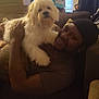 Mr Woggy joined the competition — help win amazing prizes! man, dog, indoor, couch, smiling, fluffy_dog, window, blinds, living_room, relaxing, pet, happy, casual, person, brown_shirt, headwear, furniture, home, light, cozy