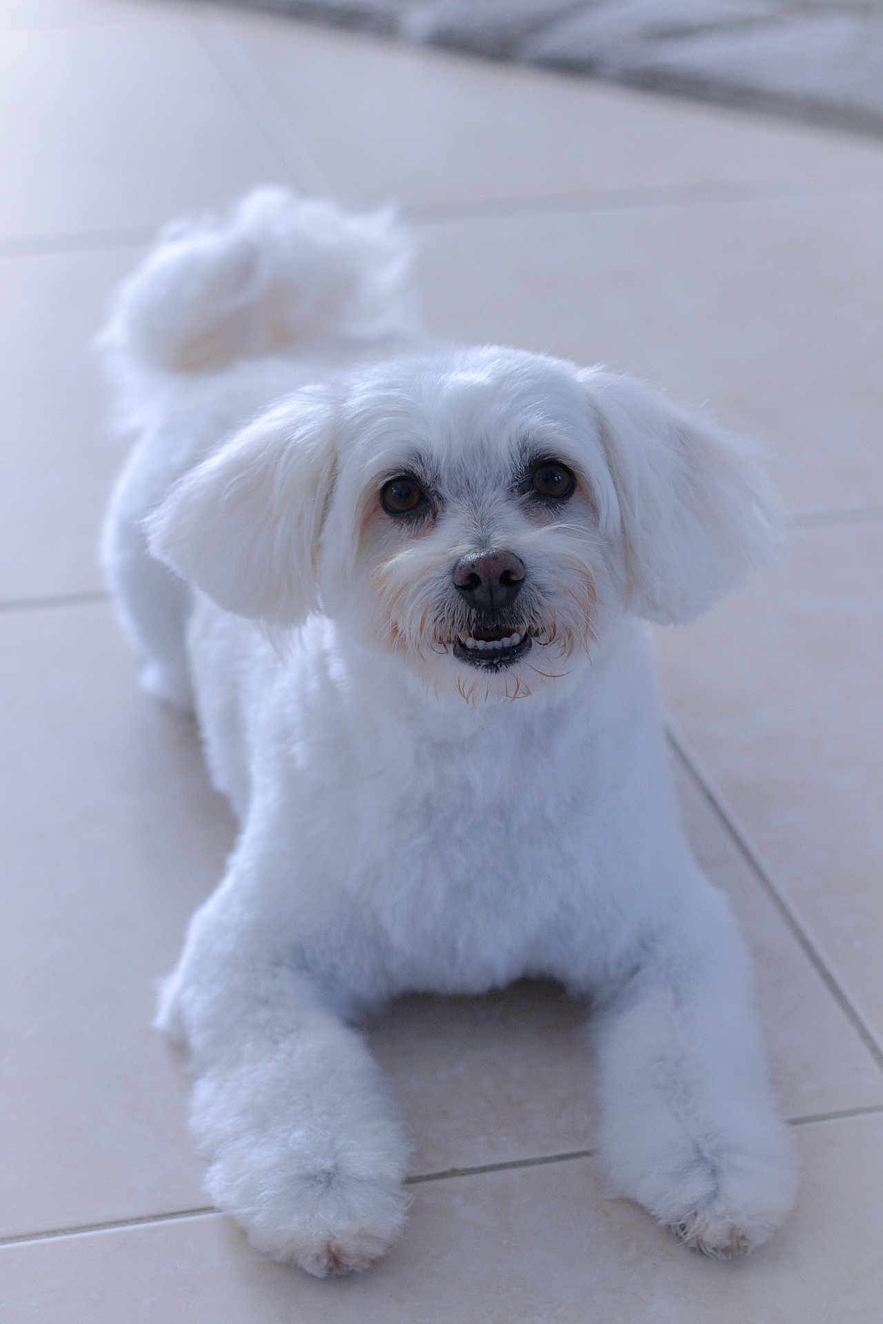 Max