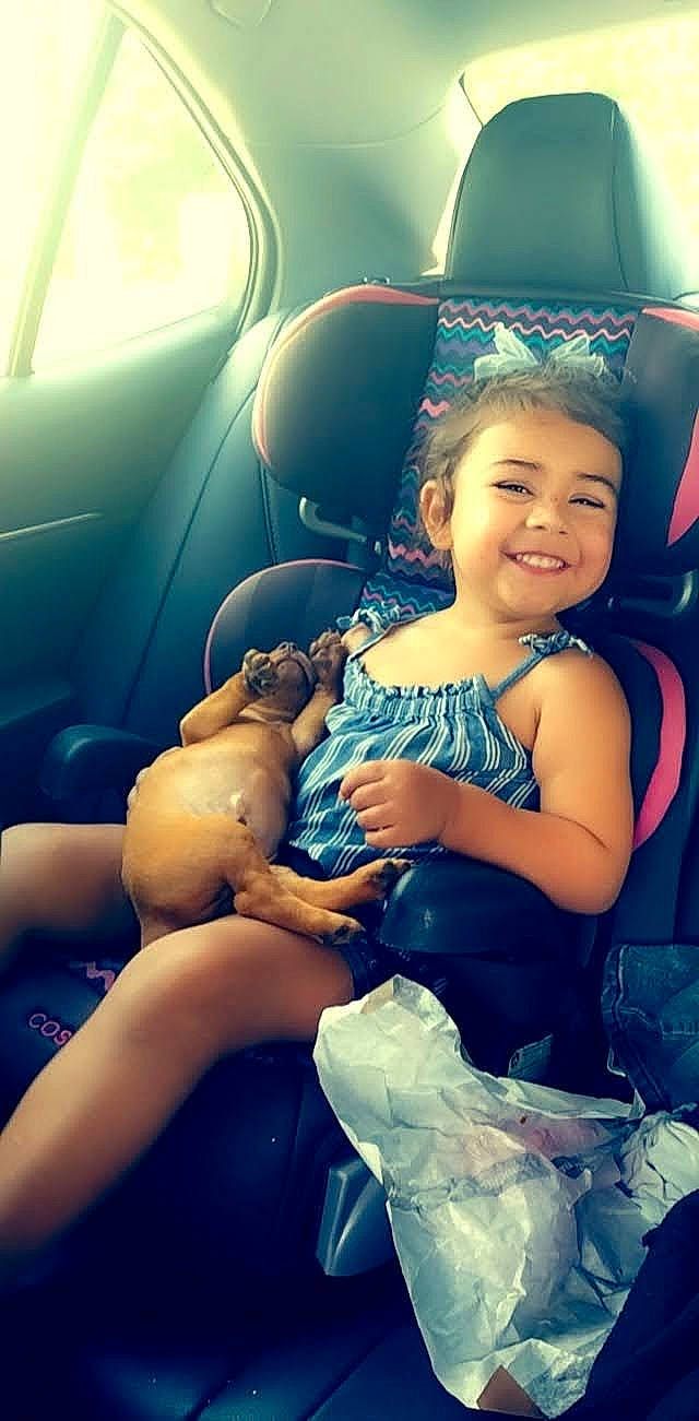 Tayla-lee is registered to the contest to win money with this photo: baby_toddler_clothing, car, child, dress, electric_blue, event, finger, flash_photography, fun, hand, happy, human_body, joy, leg, light, person, sitting, skin, smile, summer