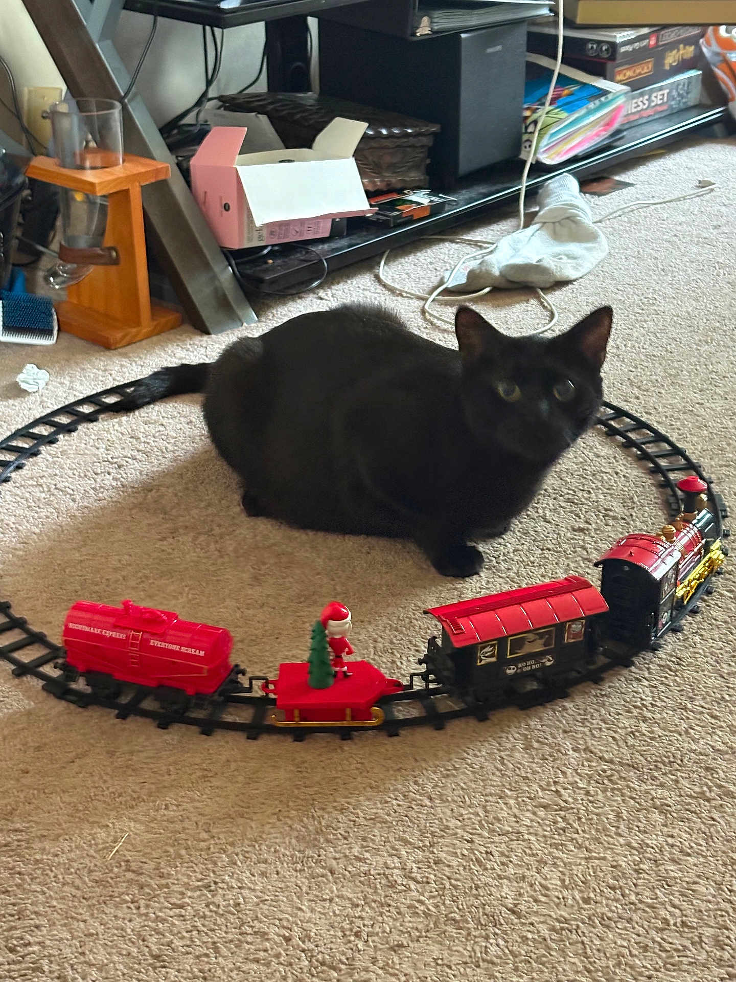 Lucifer is registered to the contest to win money with this photo: black_cat, toy_train, train_track, carpet, indoor, home, sock, box, board_games, pet, animal, feline, toy, floor, living_room, decor, cord, sitting, small_toy, red