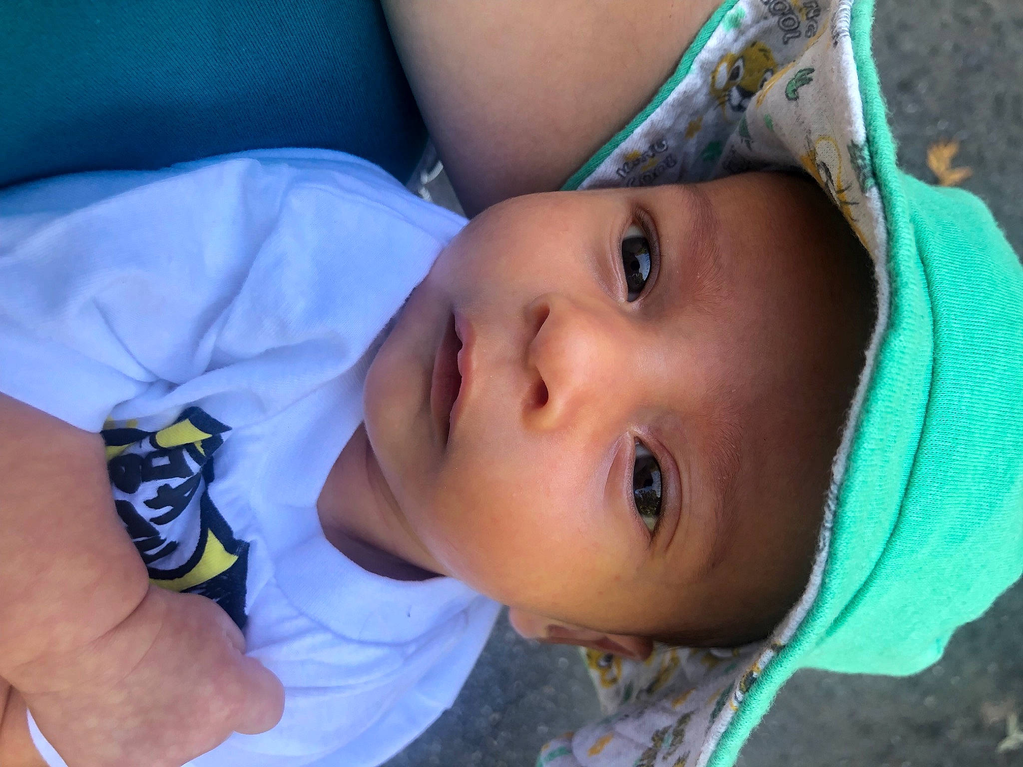 Levi is registered to the contest to win money with this photo: azure, cheek, chin, eye, eyebrow, eyelash, facial_expression, flash_photography, forehead, head, headwear, human_body, iris, lip, mouth, neck, nose, person, plant, skin