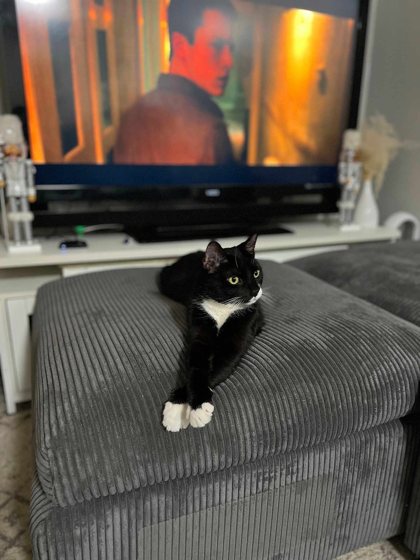 Felix