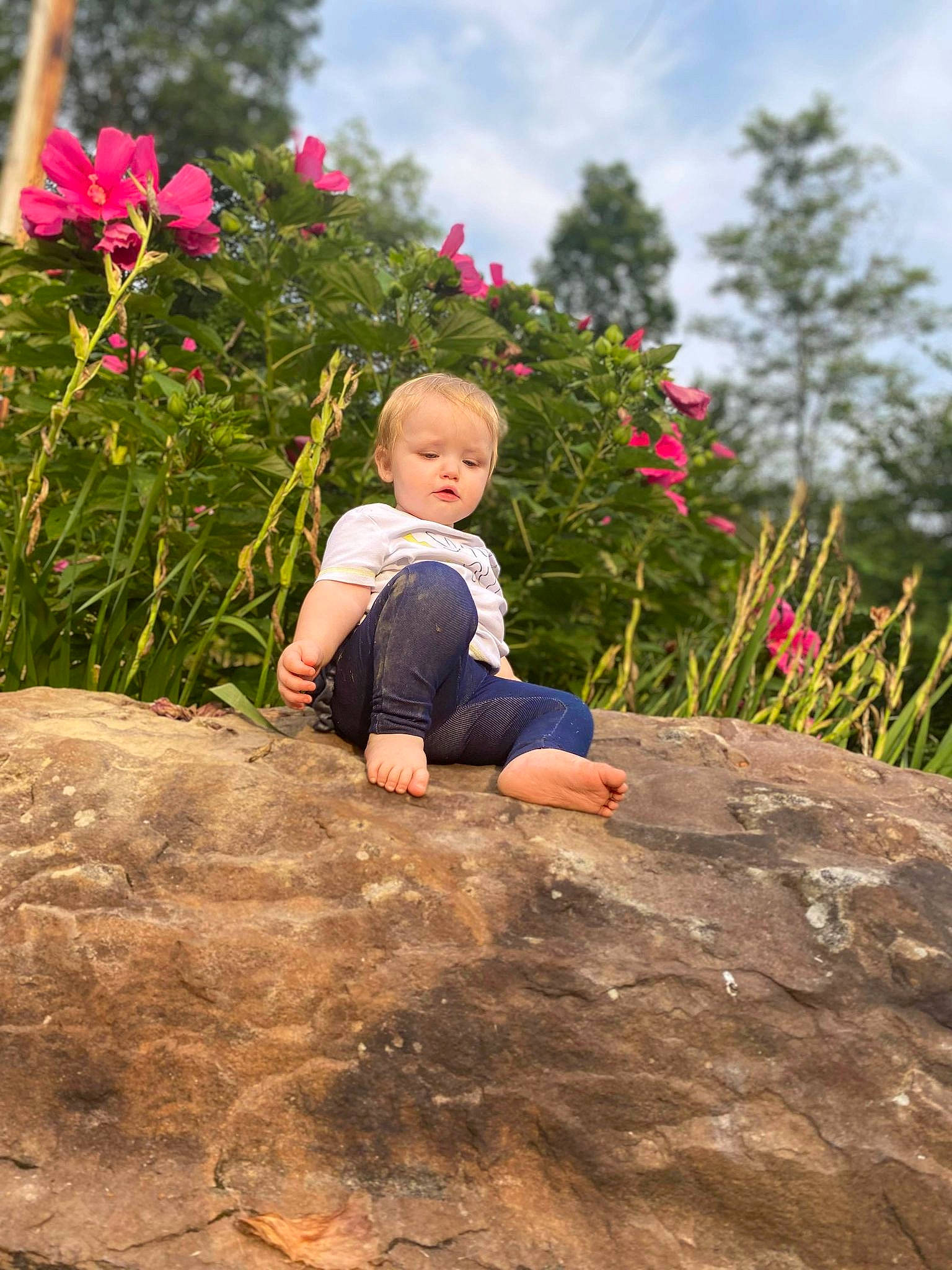 Aurelia joined the competition — help win amazing prizes! baby, cloud, flower, fun, garden, grass, grass_family, grassland, happy, landscape, leisure, meadow, people_in_nature, person, petal, plant, rural_area, sky, toddler, tree