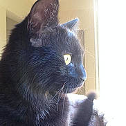 Hitsmie a rejoint le concours — aidez-le/la à gagner de superbes lots !