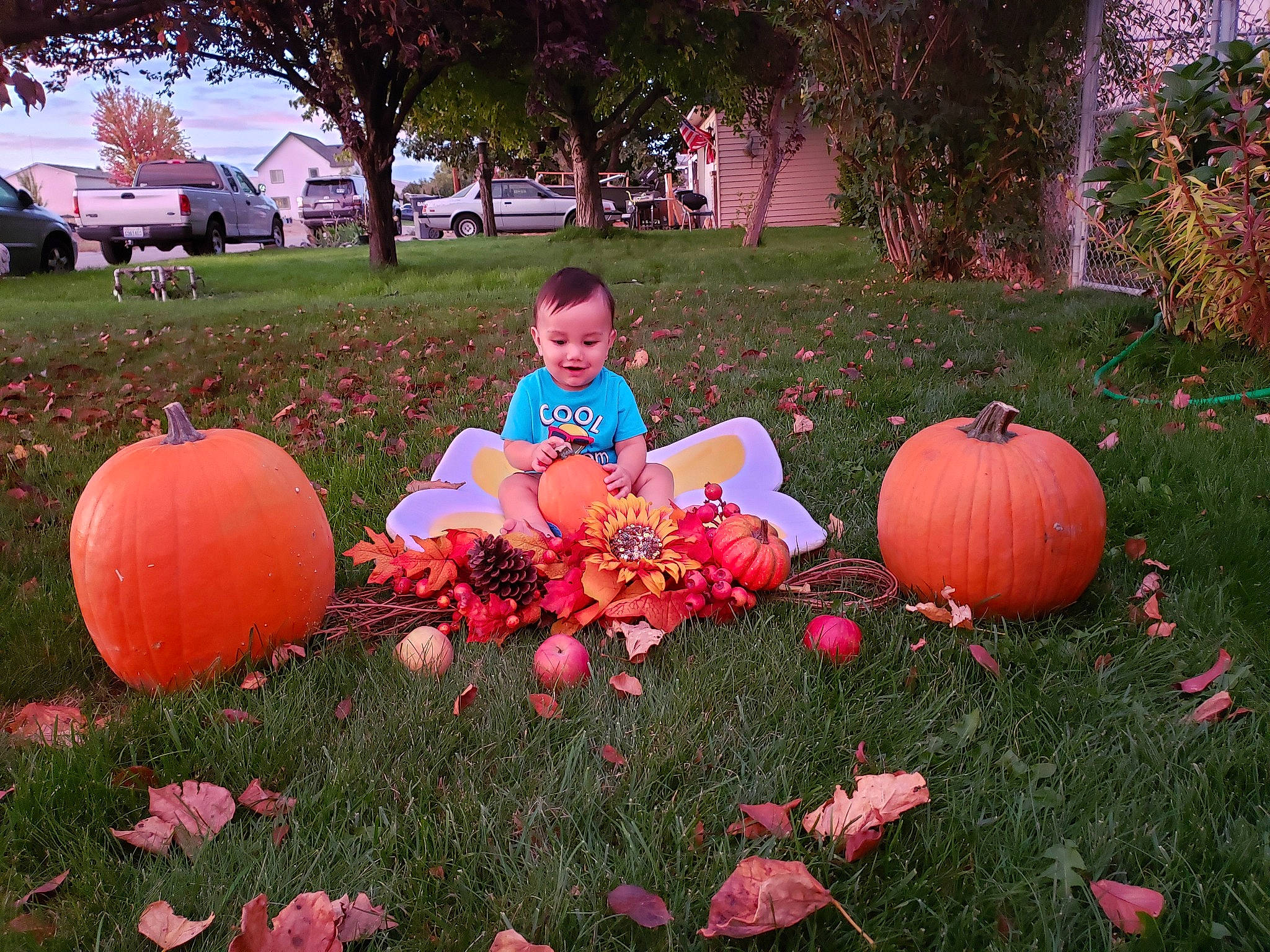 Jiovanni joined the competition — help win amazing prizes! _and_melon_family, _gourd, calabaza, cucumber, cucurbita, fruit, gourd, grass, joy, person, plant, pumpkin, squash, vegetable, winter_squash, yard