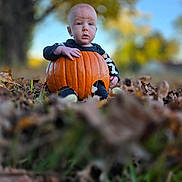 Salem Ottis is registered to the contest to win money with this photo: baby, child, pumpkin, halloween, autumn, leaves, outdoor, nature, seasonal, costume, sitting, cute, fall, grass, tree, portrait, young_child, holiday, season, background_blur