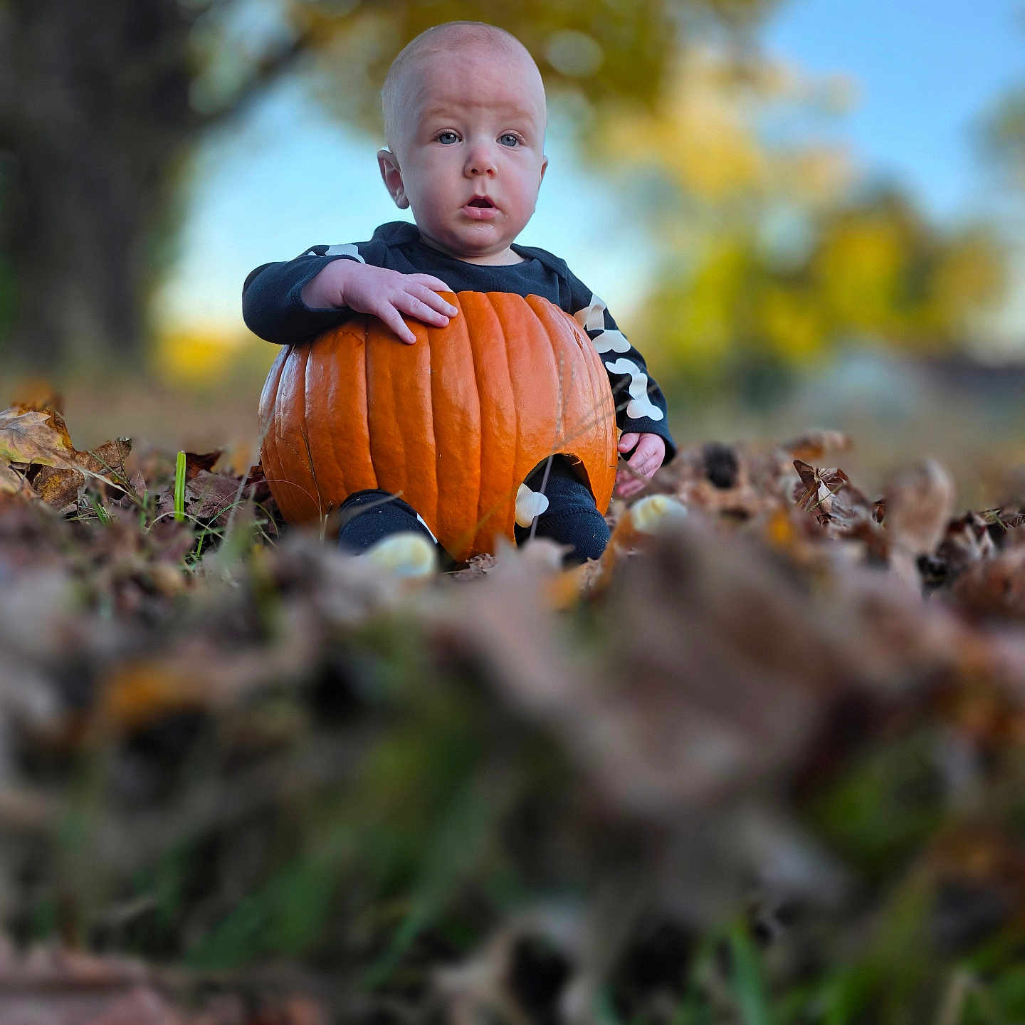 Salem Ottis is registered to the contest to win money with this photo: autumn, baby, background_blur, child, costume, cute, fall, grass, halloween, holiday, leaves, nature, outdoor, portrait, pumpkin, season, seasonal, sitting, tree, young_child