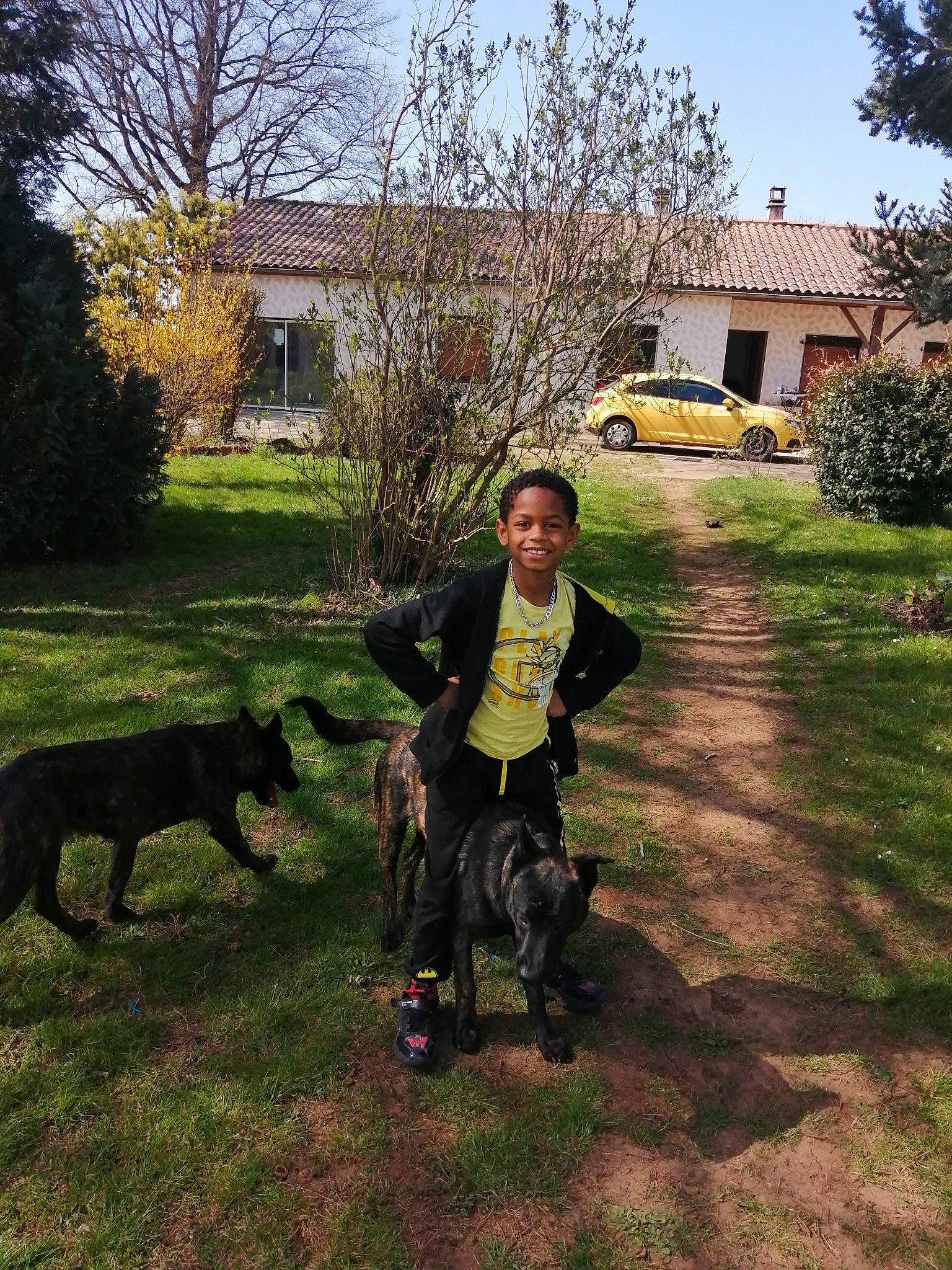 Jewel a rejoint le concours — aidez-le/la à gagner de superbes lots ! boot, car, carnivore, companion_dog, dog, dog_breed, grass, house, joy, landscape, lawn, leash, leisure, person, plant, recreation, sky, tire, tree, truck