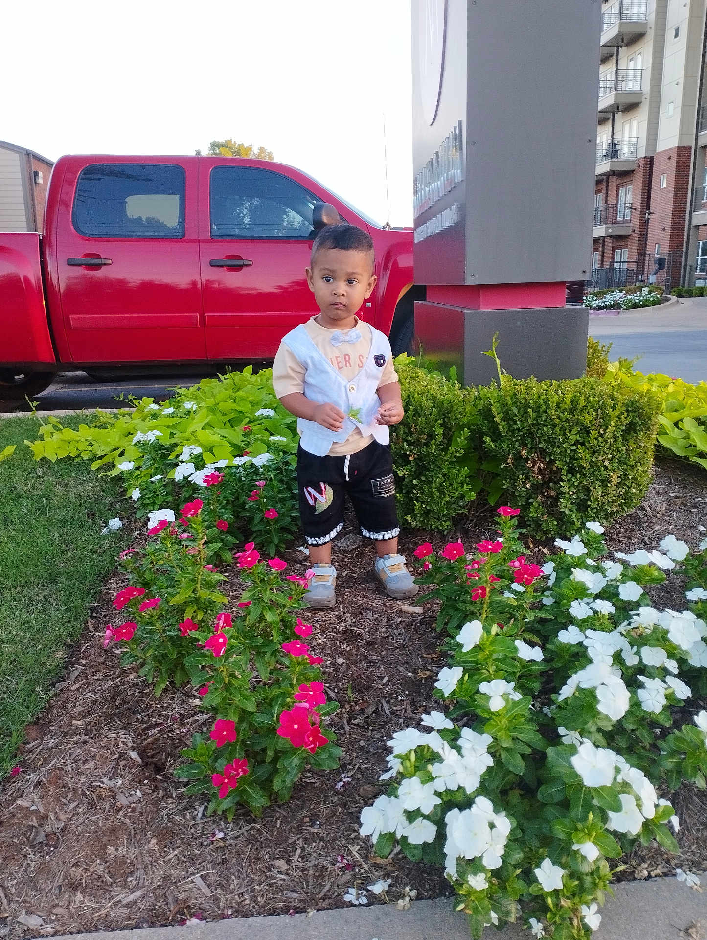 Wasat is registered to the contest to win money with this photo: child, toddler, flower_bed, red_truck, greenery, sidewalk, building, shrub, grass, leaf, outdoor, nature, person, urban, summer, casual_clothing, shorts, shoes, daylight, curious