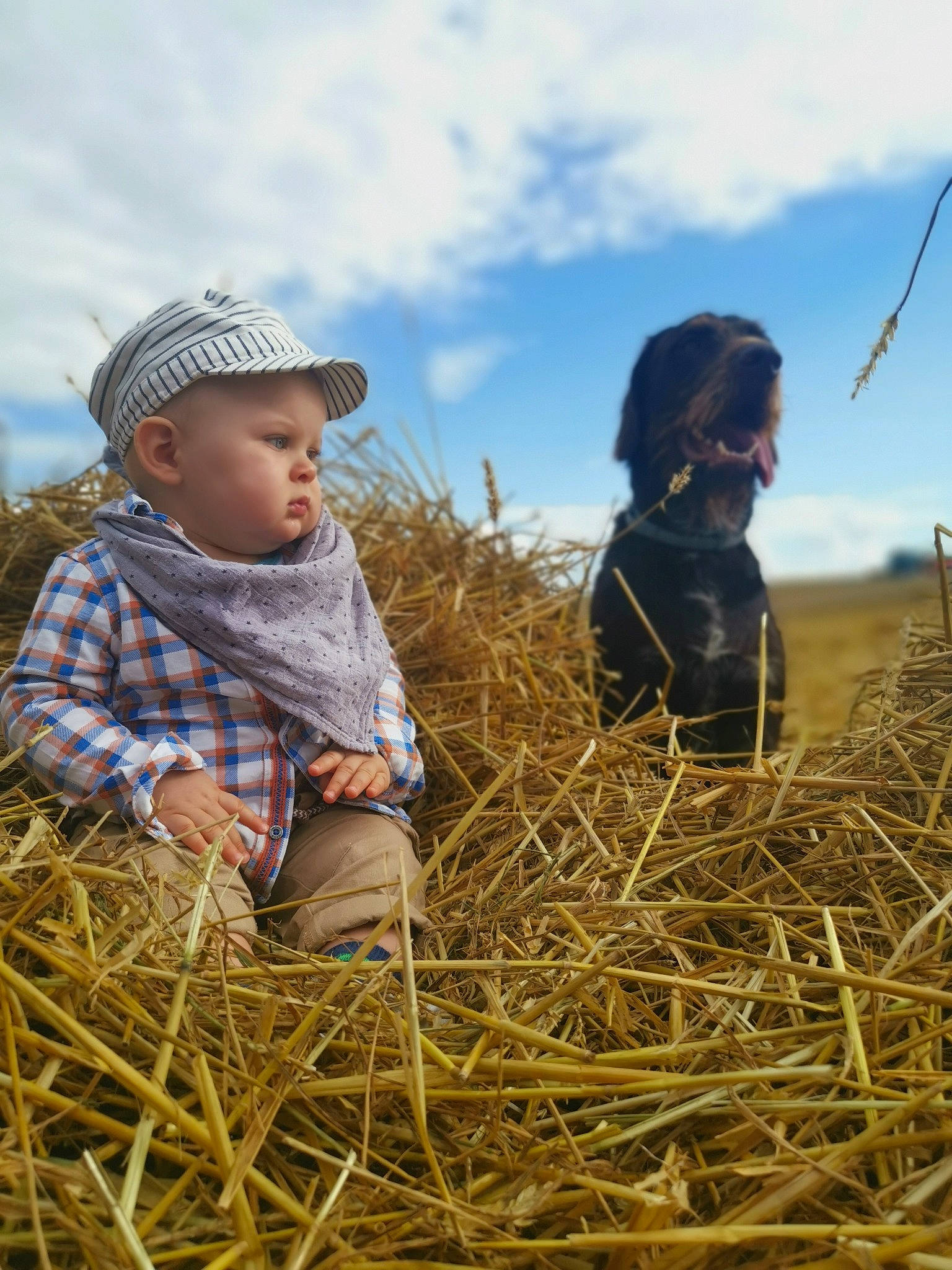 César participe au concours pour gagner de l'argent avec cette photo : agriculture, baby, cloud, crop, field, fun, grass, grassland, happy, hat, hay, headwear, landscape, meadow, people_in_nature, person, plant, prairie, rural_area, sky