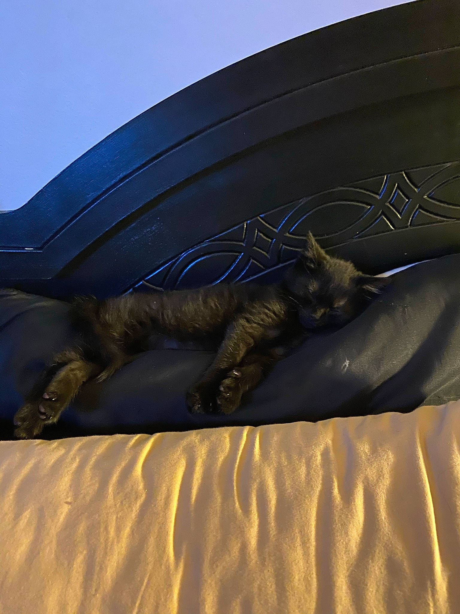 Berlioz joined the competition — help win amazing prizes! cat, felidae, sculpture, small_to_medium_sized_cats