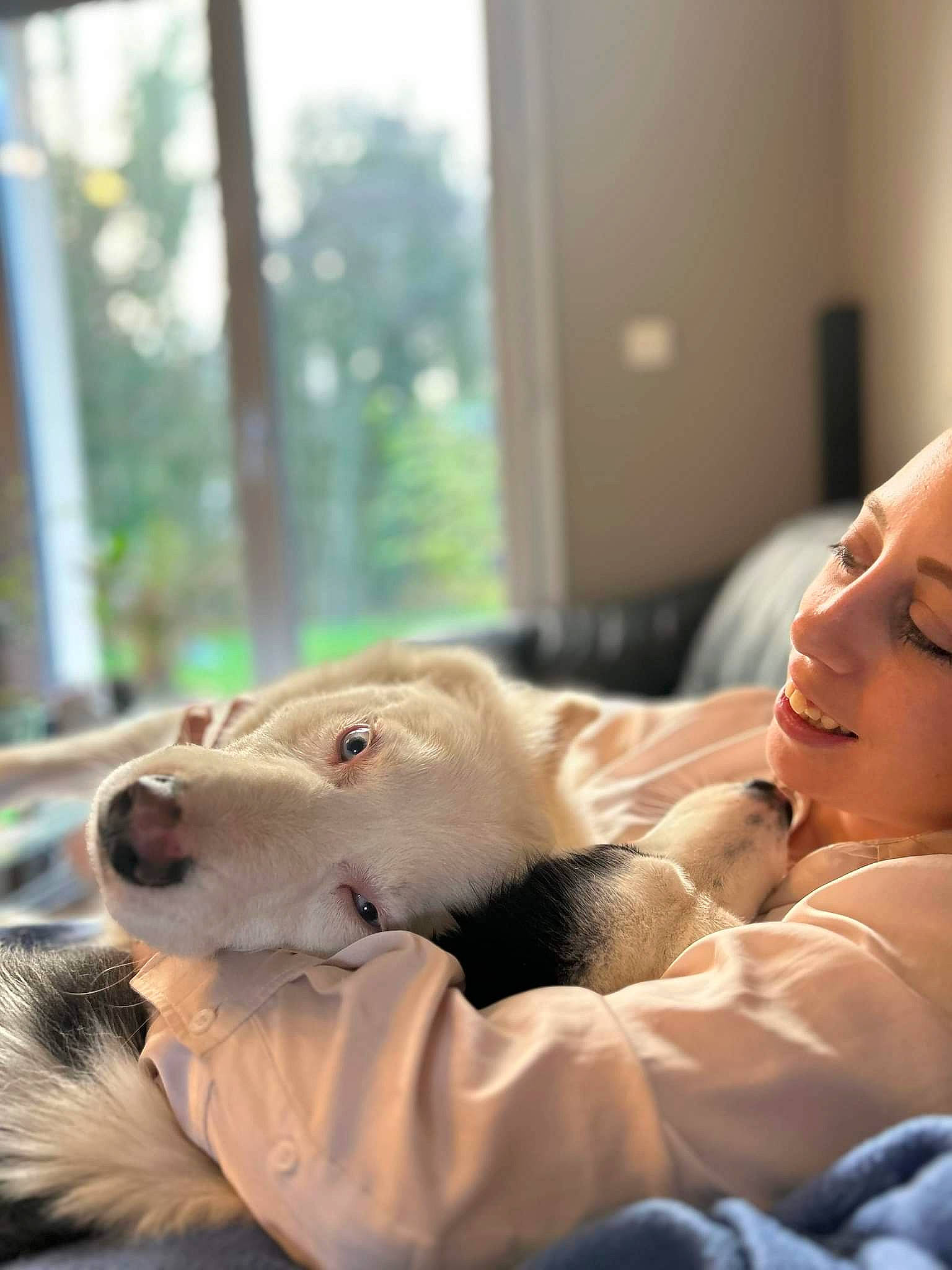 Sweety a rejoint le concours — aidez-le/la à gagner de superbes lots ! carnivore, child, comfort, companion_dog, dog, dog_breed, ear, fawn, felidae, flooring, fur, happy, mammal, sitting, small_to_medium_sized_cats, smile, sporting_group, toy, vertebrate, whiskers