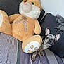 animal, blanket, comfort, couch, cozy, cute, dog, ears, face, fur, home, indoor, living_room, pet, plush_toy, relaxing, sitting, striped, stuffed_animal, toy