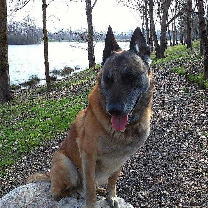 Team joined the competition — help win amazing prizes!