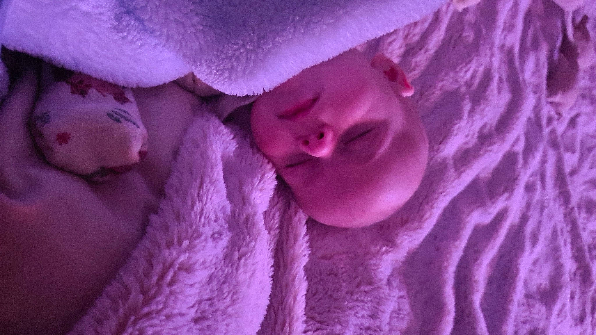 Luciano joined the competition — help win amazing prizes! baby, child, fashion_accessory, fun, fur, hand, happy, linens, magenta, person, petal, pink, plant, purple, toddler, violet, white, winter, wool