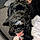 Moppet