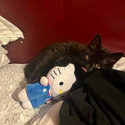 Salt is registered to the contest to win money with this photo: black_cat, kitten, plush_toy, hello_kitty, bed, blanket, red_wall, cute, tongue_out, fur, indoor, cozy, pet, animal, soft, resting, toy, playful, young_cat, domestic_cat