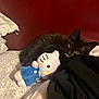 black_cat, kitten, plush_toy, hello_kitty, bed, blanket, red_wall, cute, tongue_out, fur, indoor, cozy, pet, animal, soft, resting, toy, playful, young_cat, domestic_cat