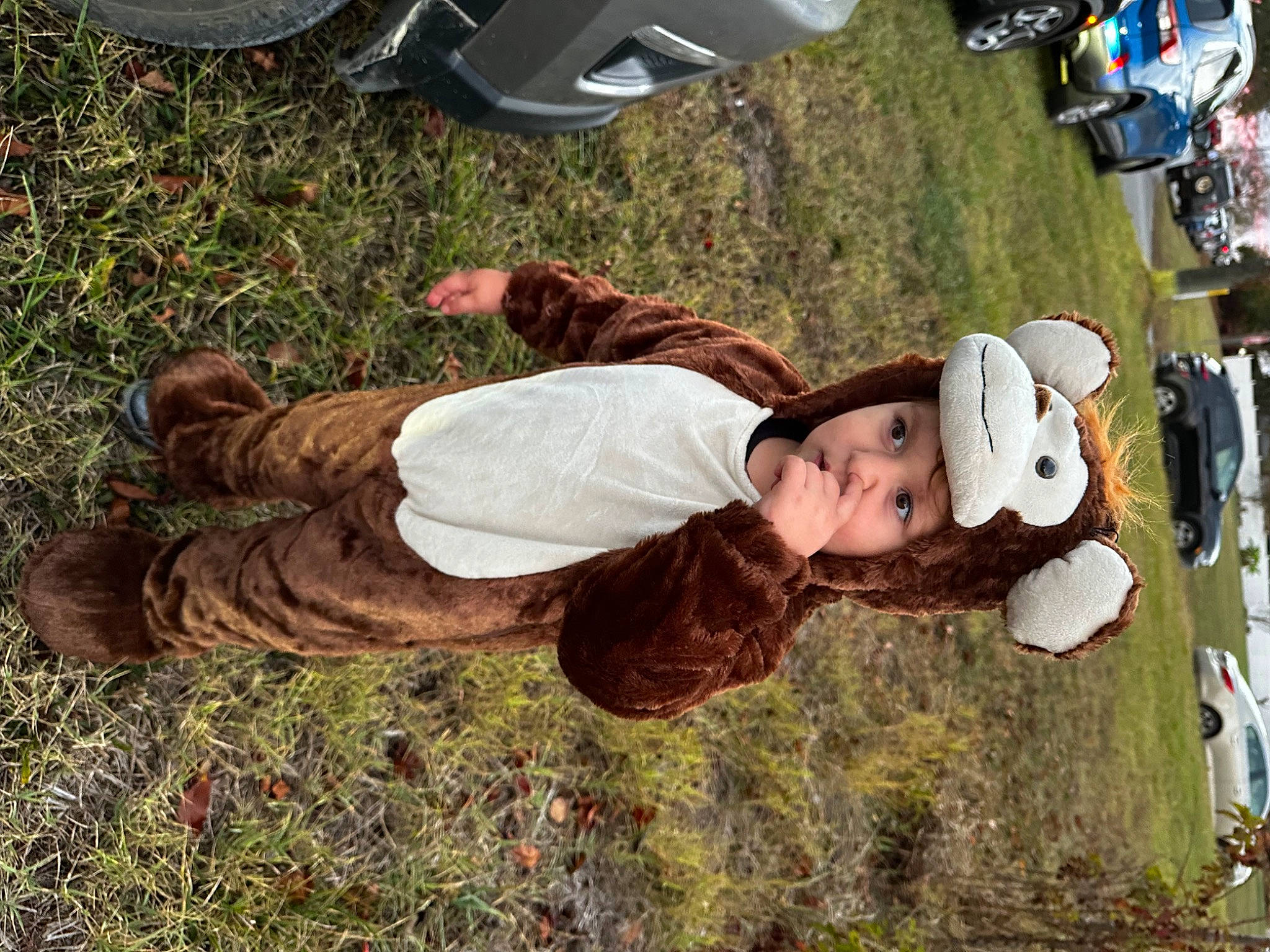 Anniemae is registered to the contest to win money with this photo: automotive_exterior, child, fun, fur, grass, happy, hat, headwear, landscape, leisure, mammal, people_in_nature, person, plant, recreation, soil, sun_hat, tire, toddler, tree