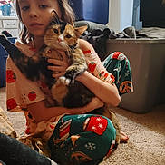 Aris Sophia Tucker is registered to the contest to win money with this photo: animal, blanket, calico_cat, carpet, casual, cat, child, comfort, cozy, cute, furniture, holding, home, indoor, pajamas, person, pet, playful, relaxed, storage_bin