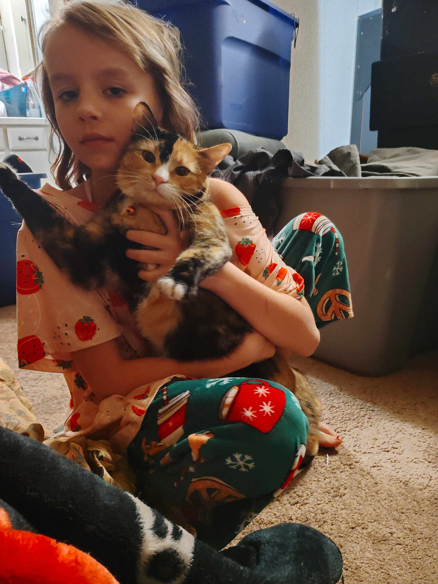 Aris Sophia Tucker is registered to the contest to win money with this photo: animal, blanket, calico_cat, carpet, casual, cat, child, comfort, cozy, cute, furniture, holding, home, indoor, pajamas, person, pet, playful, relaxed, storage_bin
