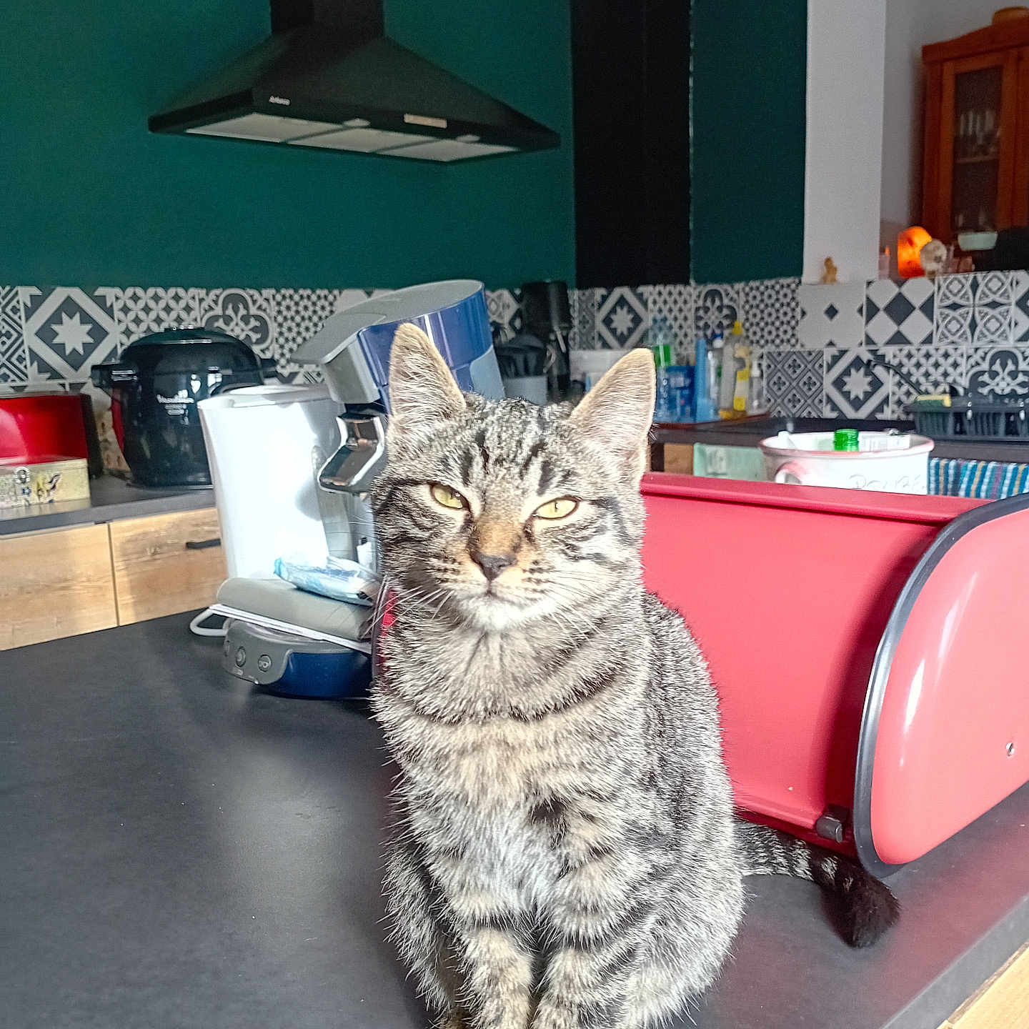 Sarabi