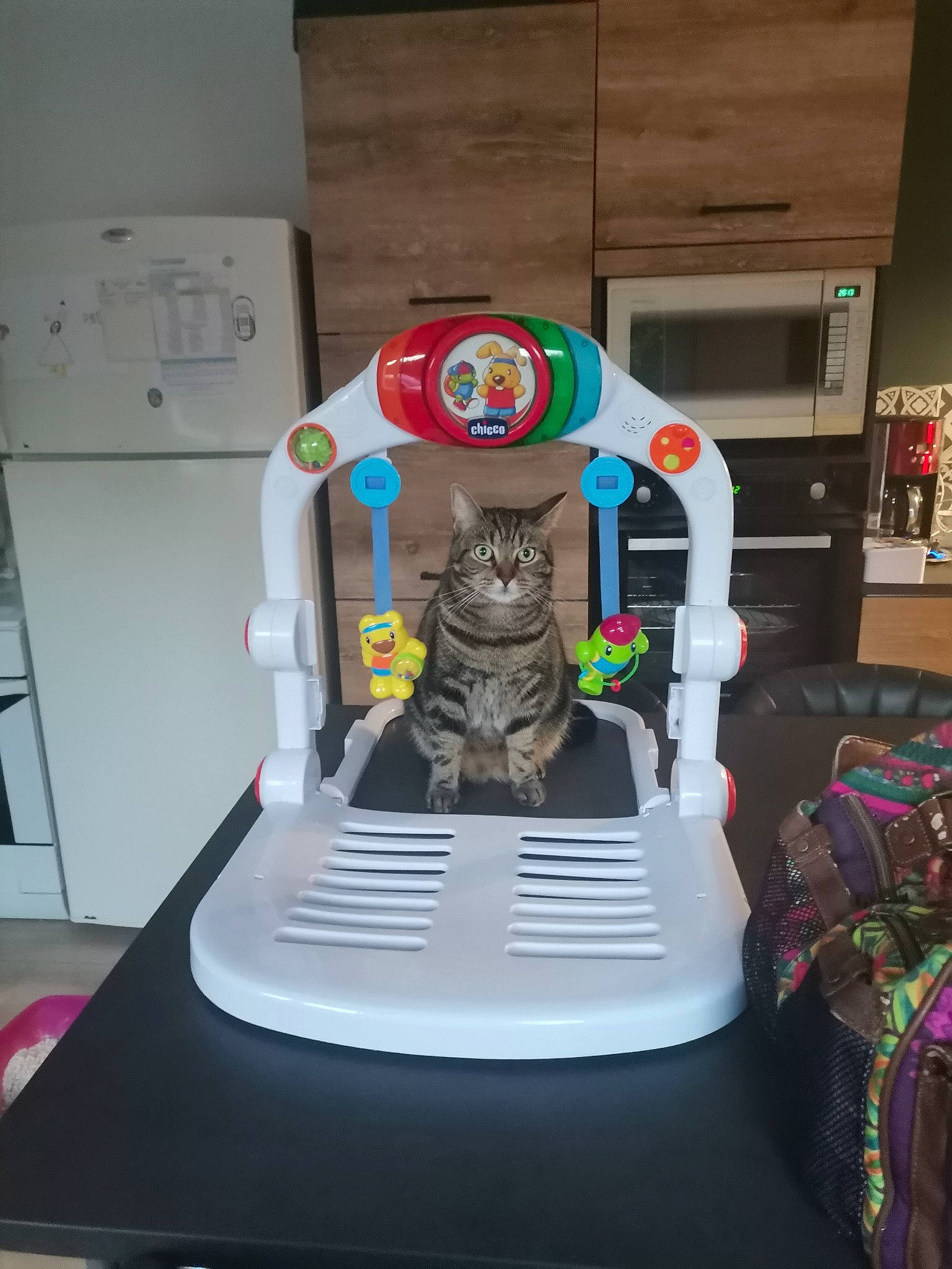 Nala a rejoint le concours — aidez-le/la à gagner de superbes lots ! animation, electronic_instrument, figurine, gadget, games, gas, lego, machine, office_equipment, personal_protective_equipment, plastic, recreation, room, telephone, toy