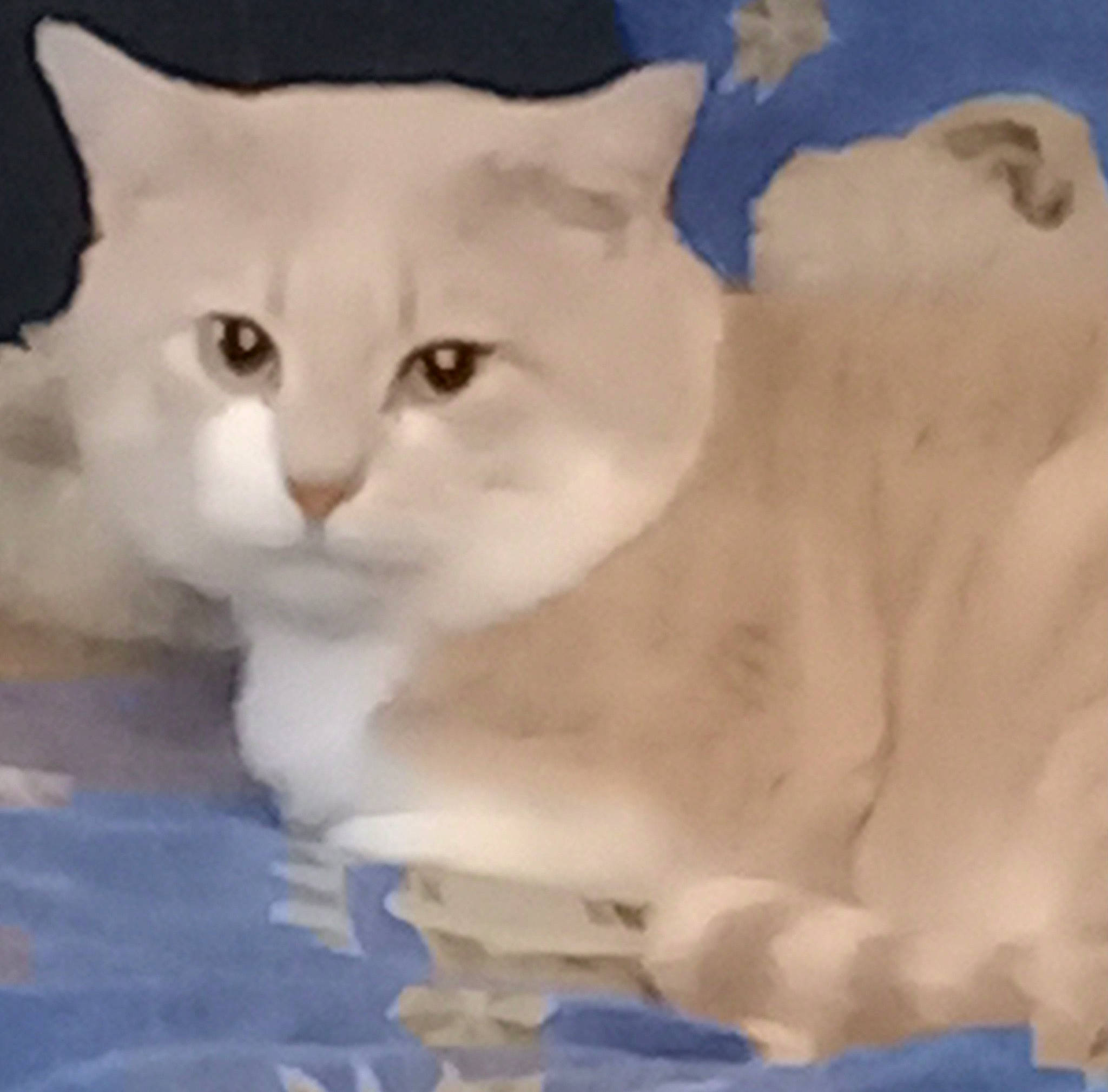 Aslan a rejoint le concours — aidez-le/la à gagner de superbes lots ! art, carnivore, cat, domestic_short_haired_cat, fawn, felidae, fur, paw, small_to_medium_sized_cats, snout, tail, water, whiskers