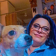 Haku joined the competition — help win amazing prizes! woman, dog, glasses, indoor, portrait, pet, blue_hair, casual_clothing, smile, hand, collar, face, closeup, curious, home, furniture, clock, painting, relaxed, lighting