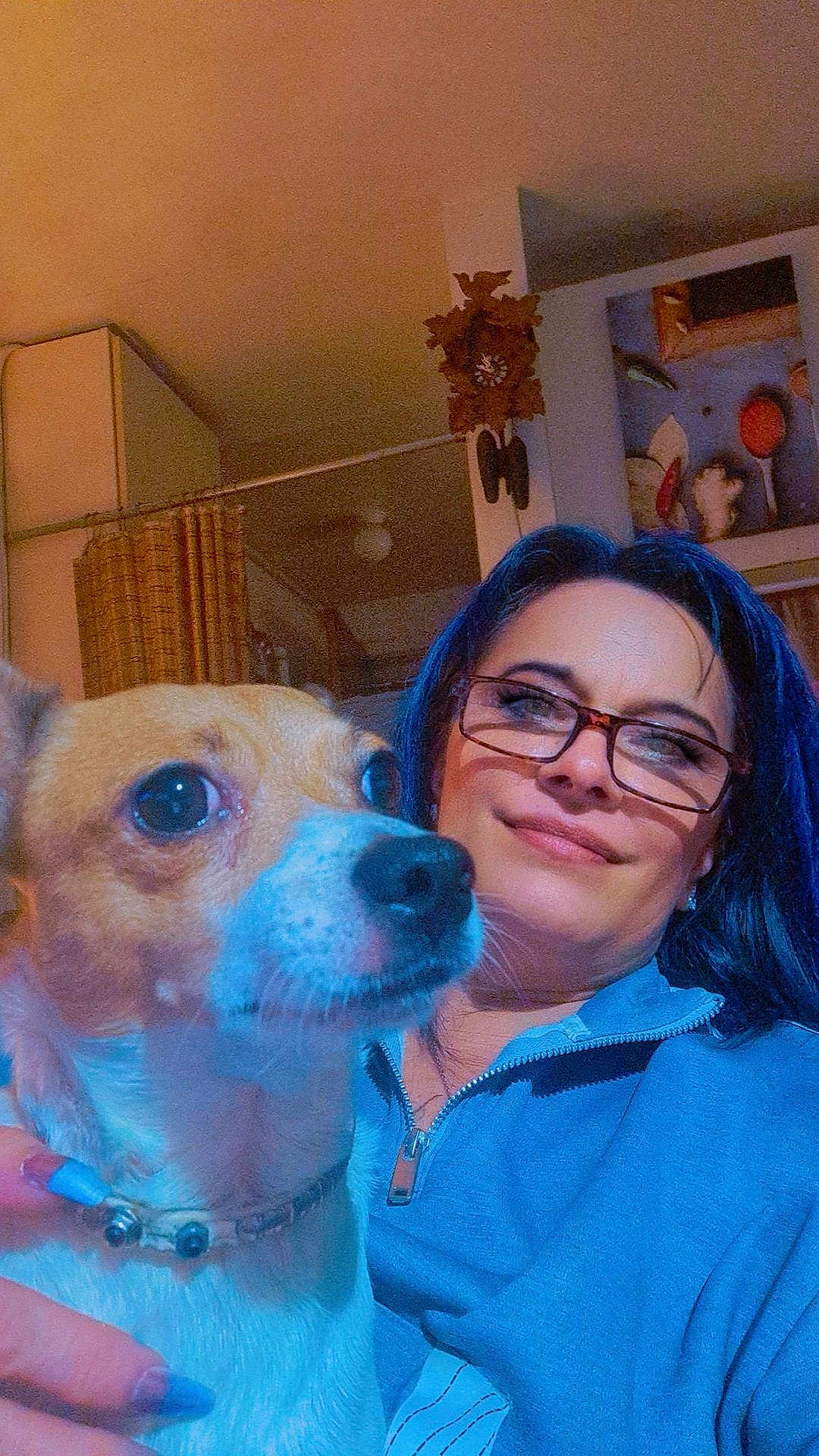 Haku joined the competition — help win amazing prizes! woman, dog, glasses, indoor, portrait, pet, blue_hair, casual_clothing, smile, hand, collar, face, closeup, curious, home, furniture, clock, painting, relaxed, lighting