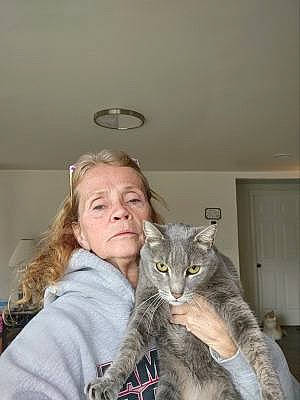 Bandit Baby is registered to the contest to win money with this photo: carnivore, cat, claw, comfort, domestic_short_haired_cat, door, ear, felidae, fur, gesture, sitting, small_to_medium_sized_cats, tail, whiskers, wildlife