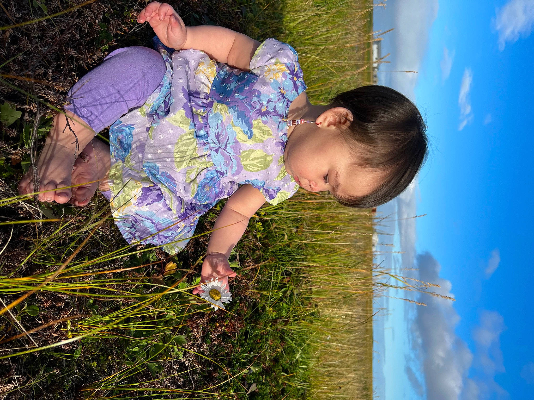 Lilly joined the competition — help win amazing prizes! blue, child, cloud, flash_photography, fun, grass, grass_family, grassland, happy, leaf, leisure, meadow, morning, people_in_nature, person, plant, sky, sunlight, toddler, tree