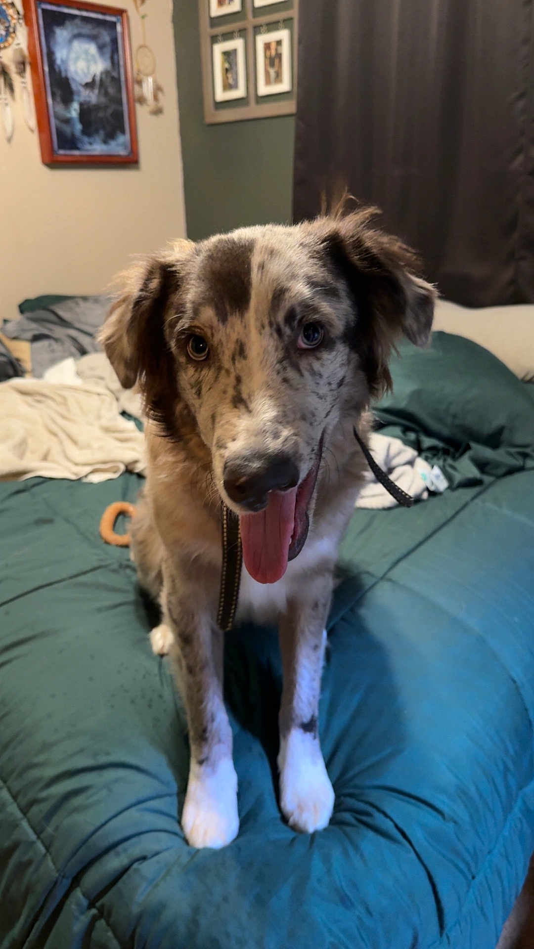 Ripley