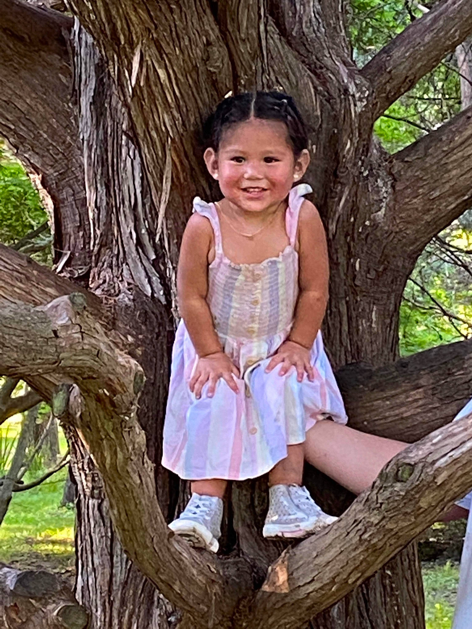 Kinslie is registered to the contest to win money with this photo: baby_toddler_clothing, botany, branch, clothing, dress, eye, face, forest, grass, happy, joy, nature, people_in_nature, person, plant, skin, smile, toddler, tree, trunk