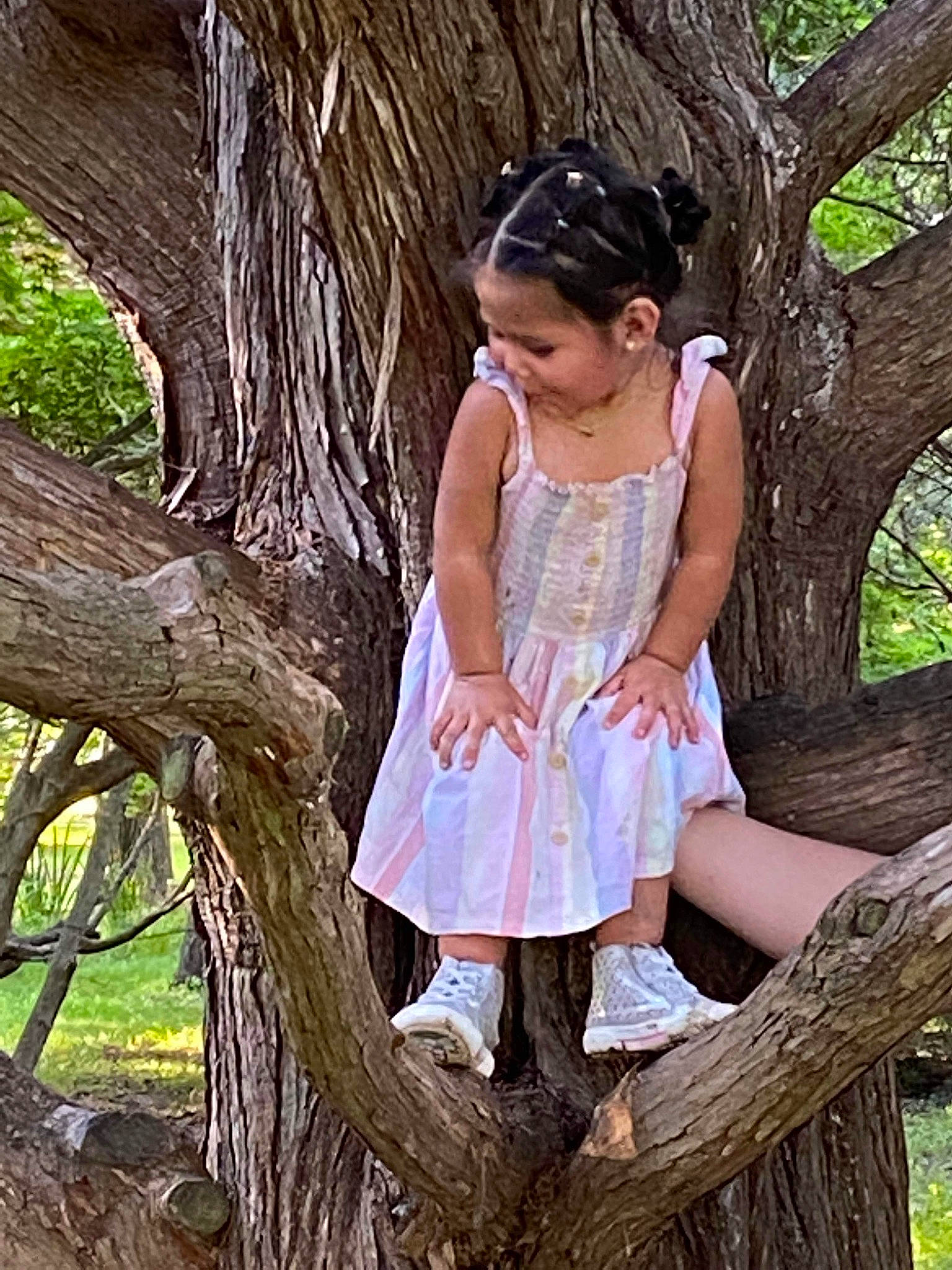 Kinslie joined the competition — help win amazing prizes! branch, child, clothing, face, fawn, grass, happy, head, leg, long_hair, people_in_nature, person, plant, skin, thigh, tree, trunk, twig, waist, wood