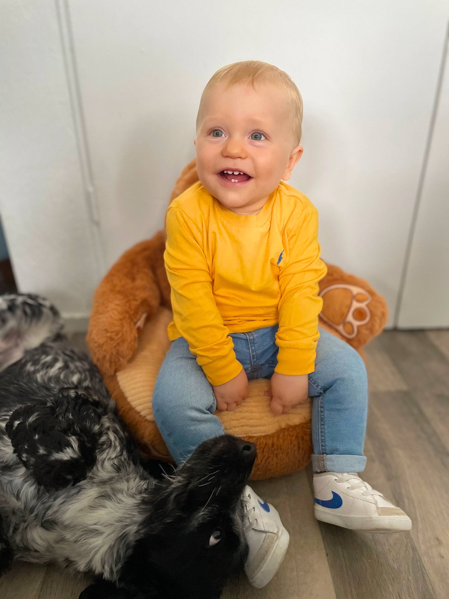 Malo participe au concours pour gagner de l'argent avec cette photo : baby, baby_toddler_clothing, carnivore, child, comfort, companion_dog, dog_breed, floor, flooring, fun, happy, human_body, lap, leg, person, skin, smile, sneakers, thigh, toddler
