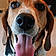 Shiloh