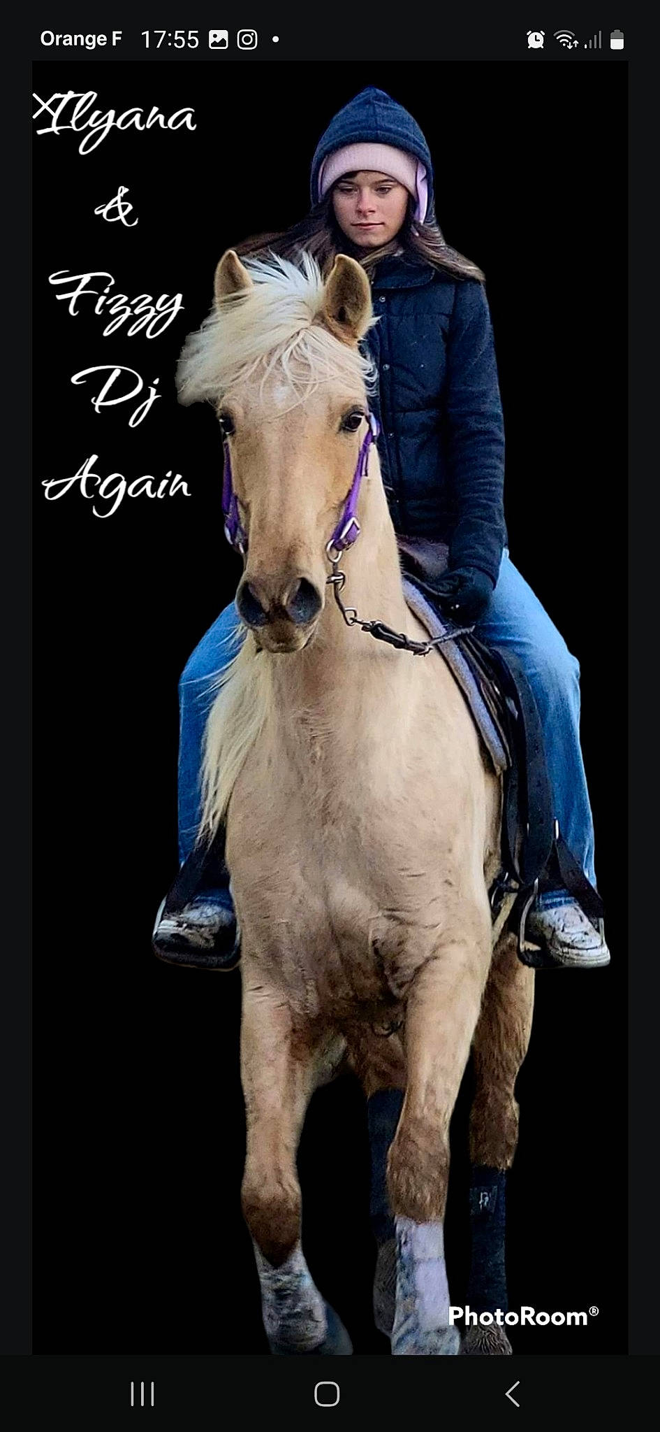 Ilyana a rejoint le concours — aidez-le/la à gagner de superbes lots ! bridle, electric_blue, event, flash_photography, font, happy, headwear, horse, horse_supplies, horse_tack, landscape, liver, livestock, mane, mare, pack_animal, person, photo_caption, recreation, rein