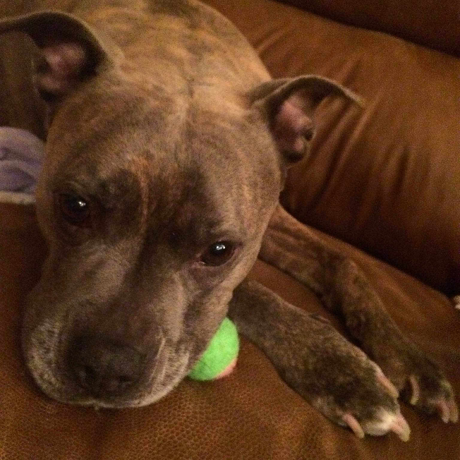 Journey is registered to the contest to win money with this photo: