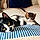Agathe Et Onyx