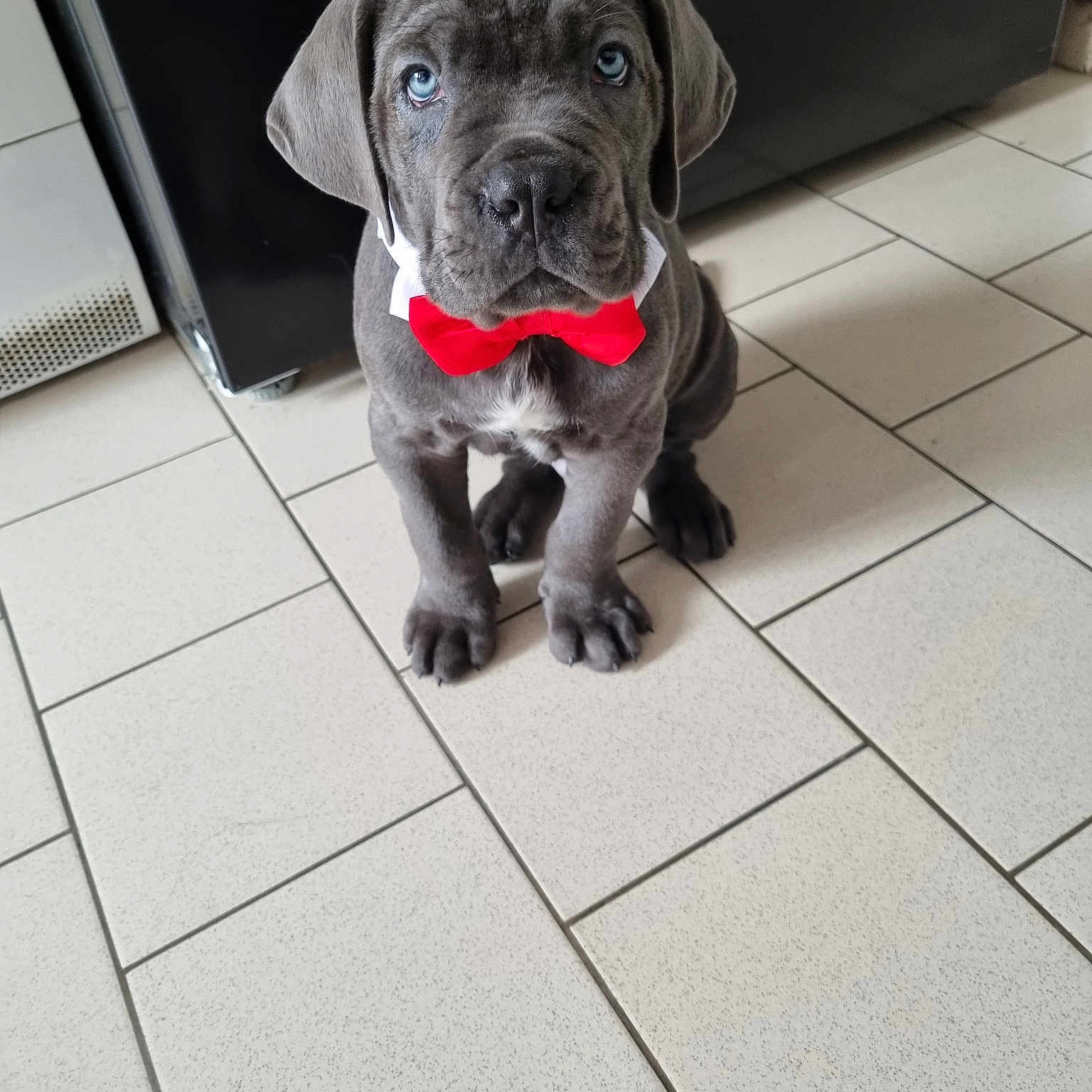 Santos